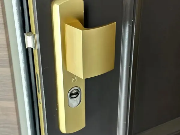 Poignée de porte blindée